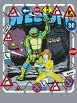 pic for tmnt - leonardo (pincarneossa)